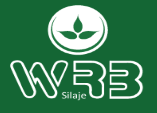 Logo WRB SILAJES